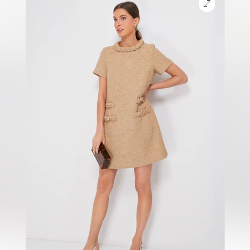 Elegant Tan Dress